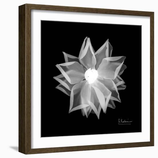 Rose Petals 1-Albert Koetsier-Framed Art Print