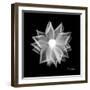 Rose Petals 1-Albert Koetsier-Framed Premium Giclee Print