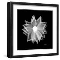 Rose Petals 1-Albert Koetsier-Framed Art Print