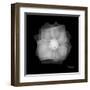 Rose Petals 2-Albert Koetsier-Framed Art Print