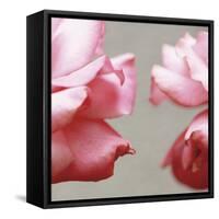 Rose Petals I-Nicole Katano-Framed Stretched Canvas