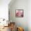 Rose Petals I-Nicole Katano-Framed Stretched Canvas displayed on a wall