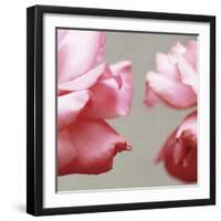 Rose Petals I-Nicole Katano-Framed Photo