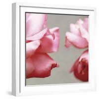 Rose Petals I-Nicole Katano-Framed Photo