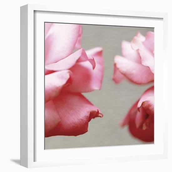 Rose Petals I-Nicole Katano-Framed Photo