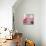 Rose Petals I-Nicole Katano-Mounted Photo displayed on a wall