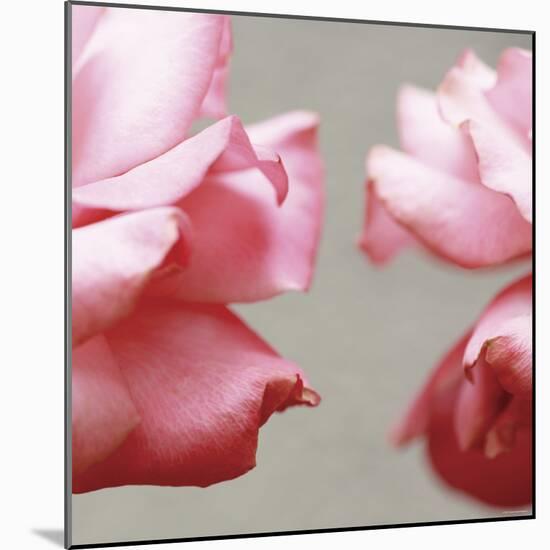 Rose Petals I-Nicole Katano-Mounted Photo