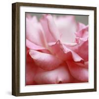 Rose Petals III-Nicole Katano-Framed Photo