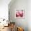 Rose Petals III-Nicole Katano-Framed Photo displayed on a wall