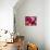 Rose Petals-David Tipling-Stretched Canvas displayed on a wall