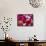 Rose Petals-David Tipling-Framed Stretched Canvas displayed on a wall
