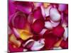 Rose Petals-David Tipling-Mounted Photographic Print