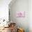 Rose Pink Rose-Cora Niele-Photographic Print displayed on a wall