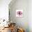 Rose Pink-Albert Koetsier-Art Print displayed on a wall