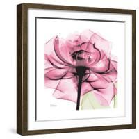 Rose Pink-Albert Koetsier-Framed Art Print