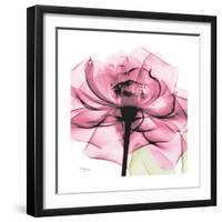 Rose Pink-Albert Koetsier-Framed Art Print