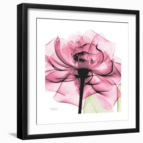 Rose Pink-Albert Koetsier-Framed Art Print