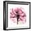 Rose Pink-Albert Koetsier-Framed Art Print