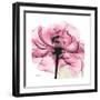 Rose Pink-Albert Koetsier-Framed Art Print