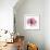 Rose Pink-Albert Koetsier-Framed Art Print displayed on a wall