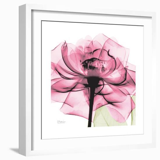 Rose Pink-Albert Koetsier-Framed Art Print