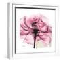 Rose Pink-Albert Koetsier-Framed Art Print