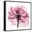 Rose Pink-Albert Koetsier-Framed Stretched Canvas