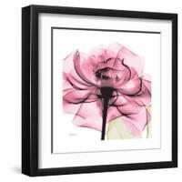 Rose Pink-Albert Koetsier-Framed Art Print