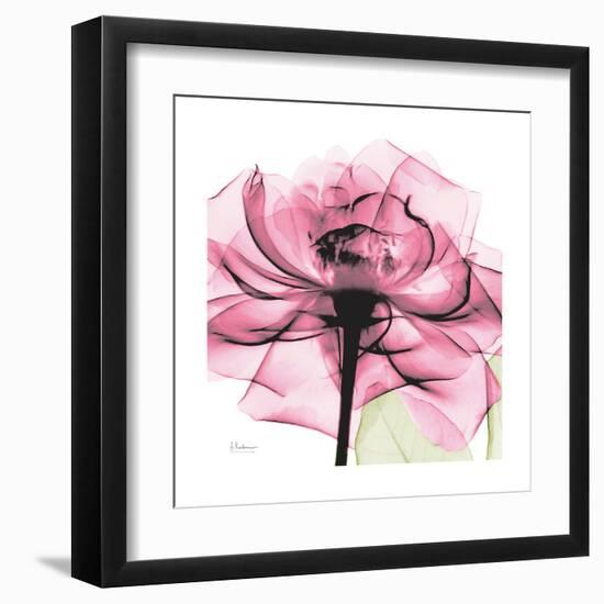 Rose Pink-Albert Koetsier-Framed Art Print