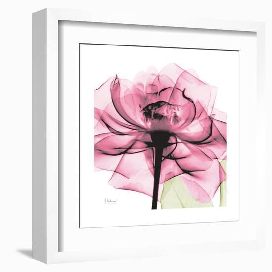 Rose Pink-Albert Koetsier-Framed Art Print