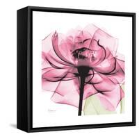 Rose Pink-Albert Koetsier-Framed Stretched Canvas