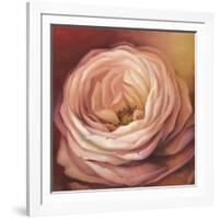 Rose Portrait-Lisa Audit-Framed Art Print