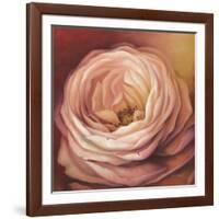 Rose Portrait-Lisa Audit-Framed Art Print