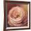 Rose Portrait-Lisa Audit-Framed Art Print