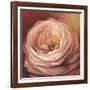 Rose Portrait-Lisa Audit-Framed Art Print