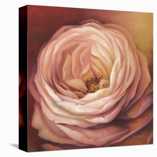 Rose Portrait-Lisa Audit-Stretched Canvas