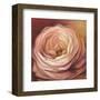 Rose Portrait-Lisa Audit-Framed Art Print