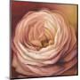 Rose Portrait-Lisa Audit-Mounted Art Print