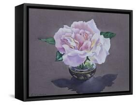 Rose Portrait-Christopher Ryland-Framed Stretched Canvas