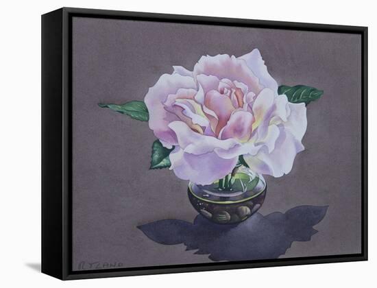 Rose Portrait-Christopher Ryland-Framed Stretched Canvas