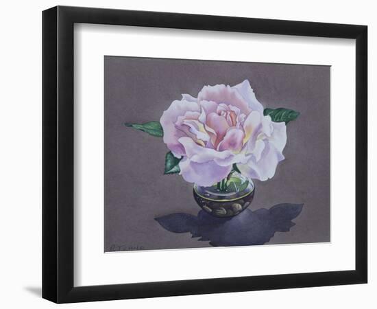 Rose Portrait-Christopher Ryland-Framed Giclee Print