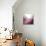 Rose Quartz B-GI ArtLab-Giclee Print displayed on a wall