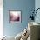 Rose Quartz B-GI ArtLab-Framed Giclee Print displayed on a wall