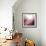 Rose Quartz B-GI ArtLab-Framed Giclee Print displayed on a wall