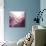 Rose Quartz B-GI ArtLab-Mounted Giclee Print displayed on a wall