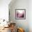 Rose Quartz B-GI ArtLab-Framed Premium Giclee Print displayed on a wall