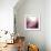 Rose Quartz B-GI ArtLab-Framed Premium Giclee Print displayed on a wall