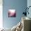 Rose Quartz B-GI ArtLab-Mounted Premium Giclee Print displayed on a wall