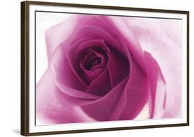 Rose Quartz-Andreas Stridsberg-Framed Giclee Print