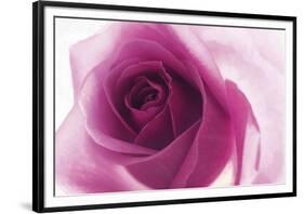 Rose Quartz-Andreas Stridsberg-Framed Giclee Print